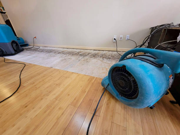 Professional Ceiling Water Damage Repair technician working in Darfur, MN